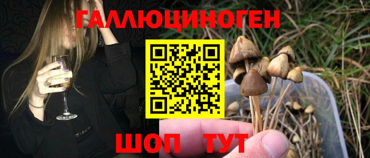 Псилоцибиновые грибы Magic Shrooms Ангарск